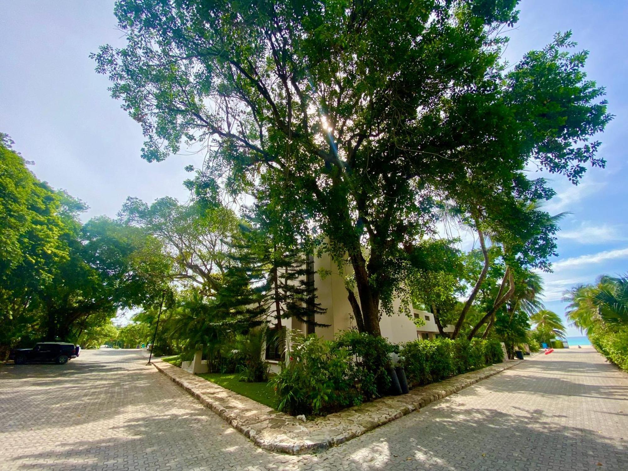 Villa Almendra Playacar 1 بلايا ديل كارمن المظهر الخارجي الصورة